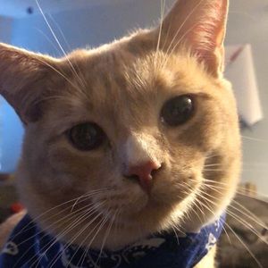 Meet your Posher, Misuzu